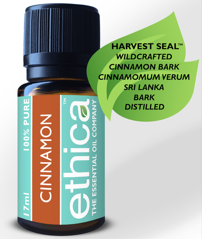 Cinnamon Bark Essential Oil | Wildcrafted, Sri Lanka, Single-Origin, 100% Authentic Cinnamomum Verum