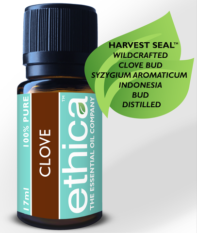 Clove Bud Essential Oil | Wildcrafted, Maluku Islands Indonesia, Single-Origin, 100% Authentic Syzygium Aromaticum