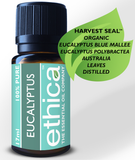 Blue Mallee Eucalyptus Essential Oil, Eucalyptus Polybractea Aromatherapy
