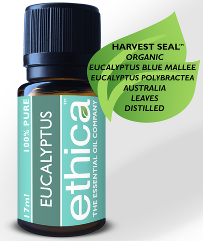 Eucalyptus Blue Mallee Essential Oil | Organic, Australia, Single-Origin, 100% Authentic Eucalyptus Polybractea