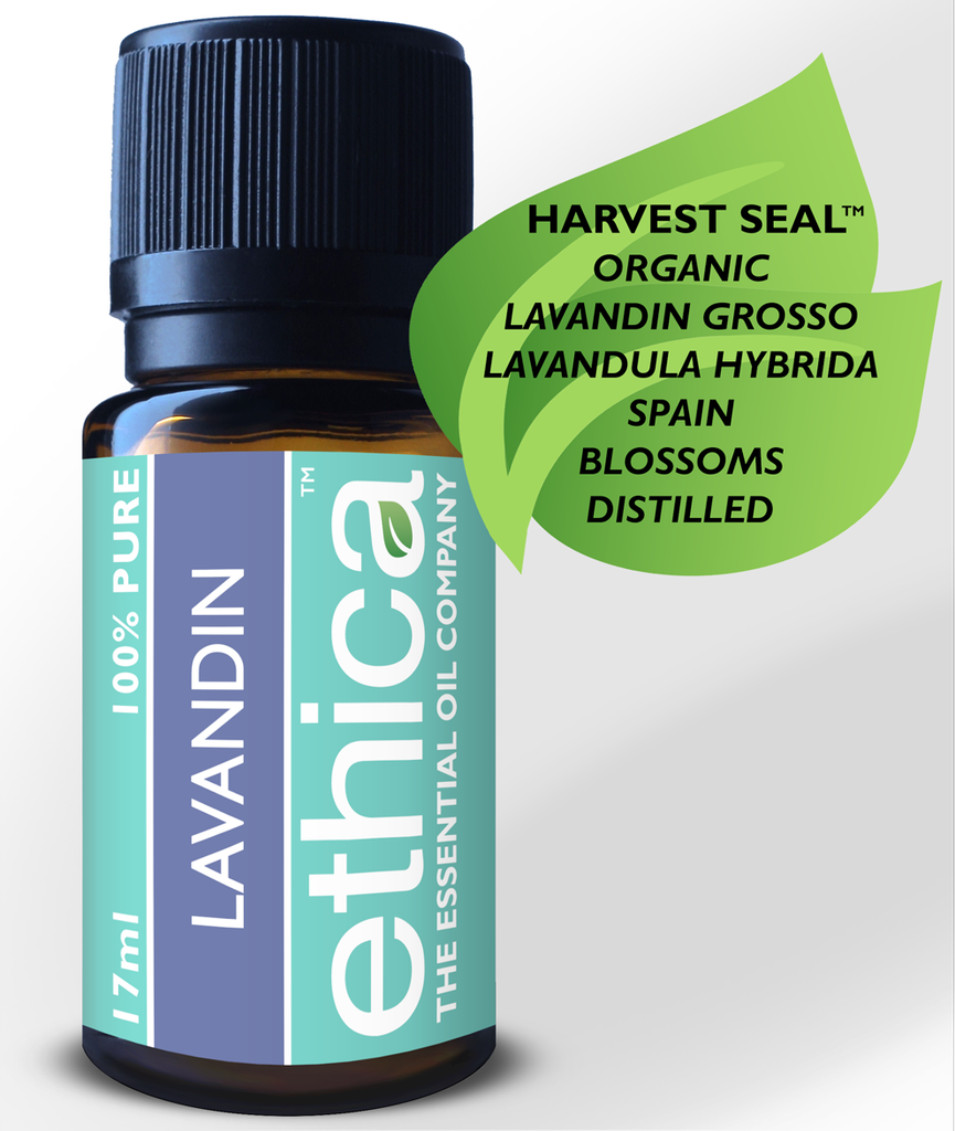Lavandin Essential Oil, Lavandula Hybrida Grosso Aromatherapy