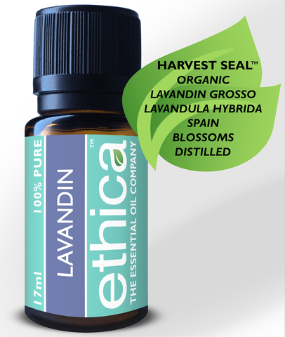 Lavandin Essential Oil | Organic, Spain, Single-Origin, 100% Authentic Lavandula Hybrida Grosso