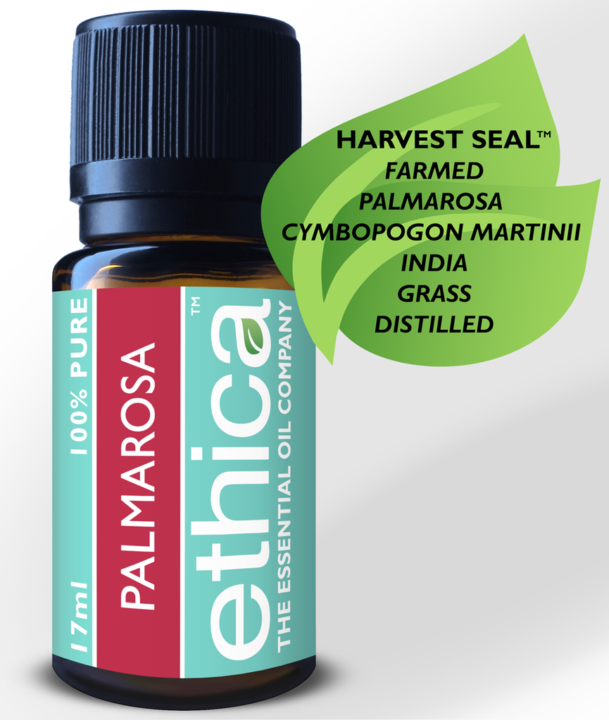 Palmarosa Essential Oil, Cymbopogon Martinii Aromatherapy