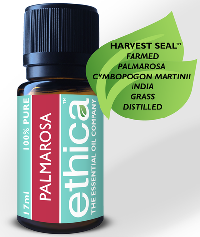 Palmarosa Essential Oil | Farmed, India, Single-Origin, 100% Authentic Cymbopogan Martinii