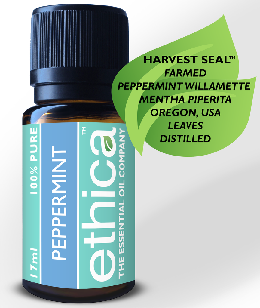 Peppermint Essential Oil, Mentha Piperita Aromatherapy