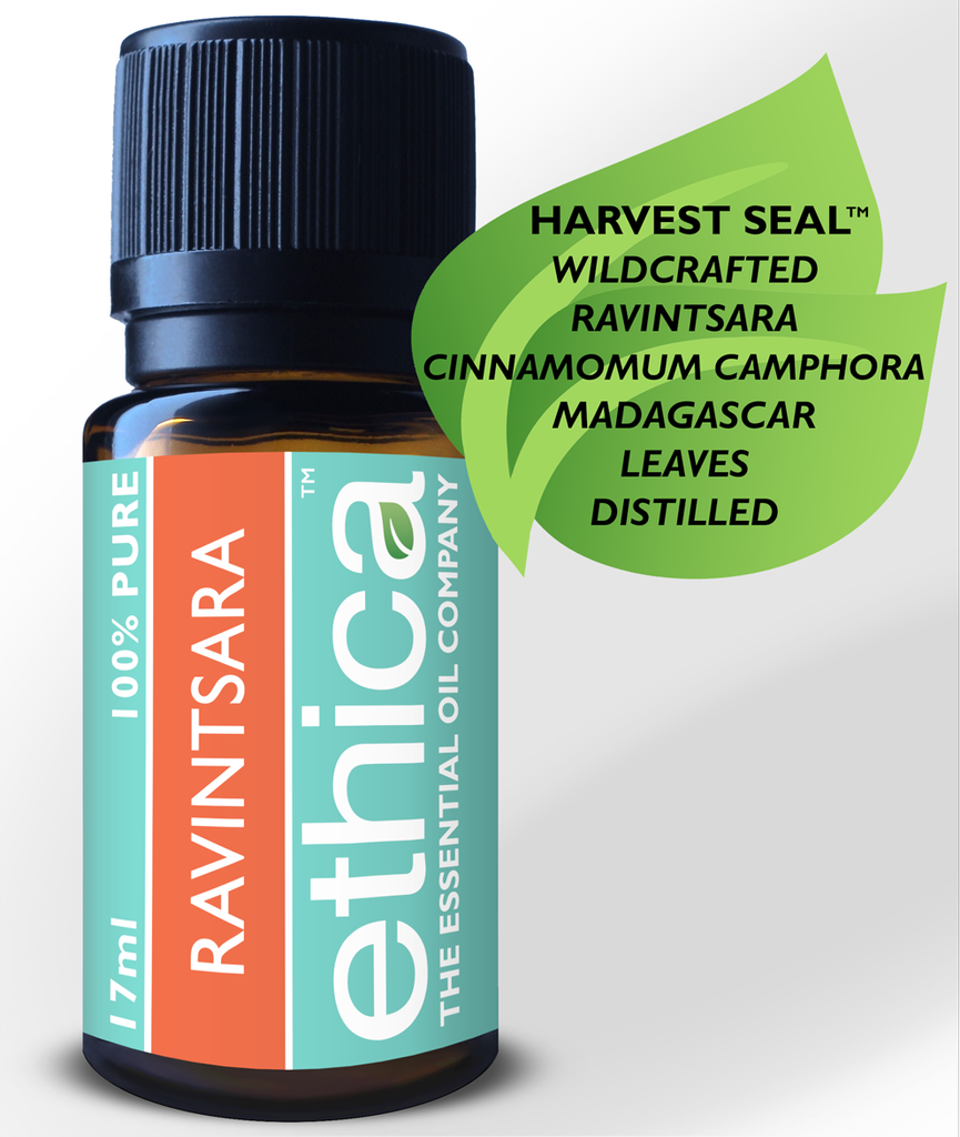 Ravintsara Essential Oil, Cinnamomum Camphora Aromatherapy