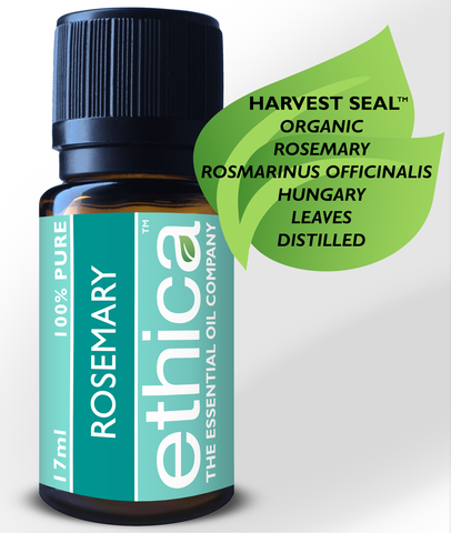 Rosemary Essential Oil | Organic, Hungary, Single-Origin, 100% Authentic Rosmarinus Officinalis