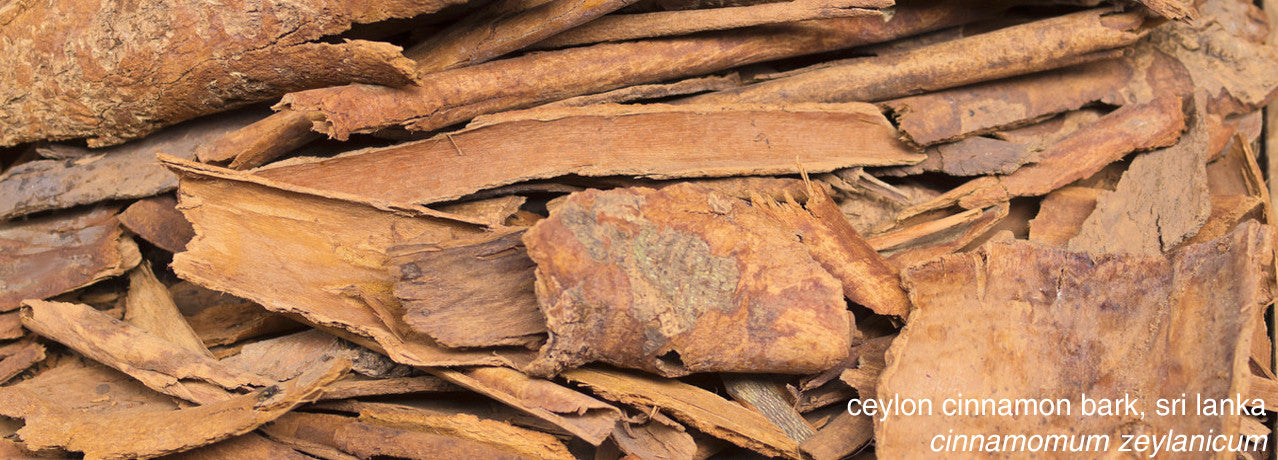 cinnamon bark essential oil