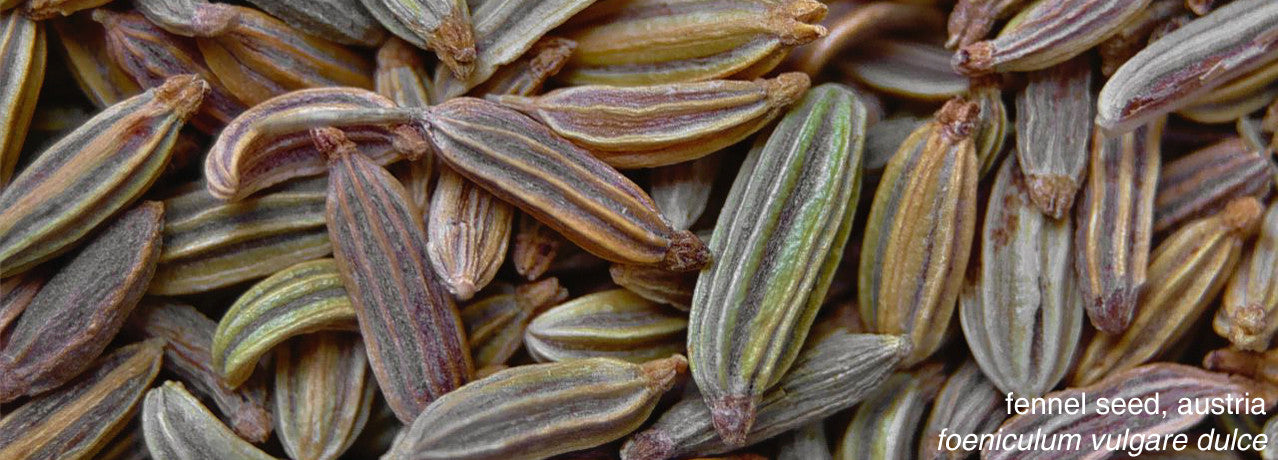 fennel essential oil